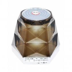 Boxa portabila wireless WSTER model:WS-1810 Boxa portabila wireless WSTER model:WS-1810