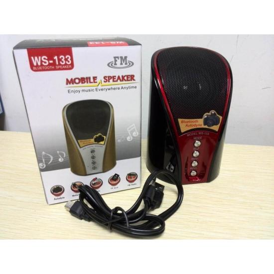 Boxa portabila WS-133