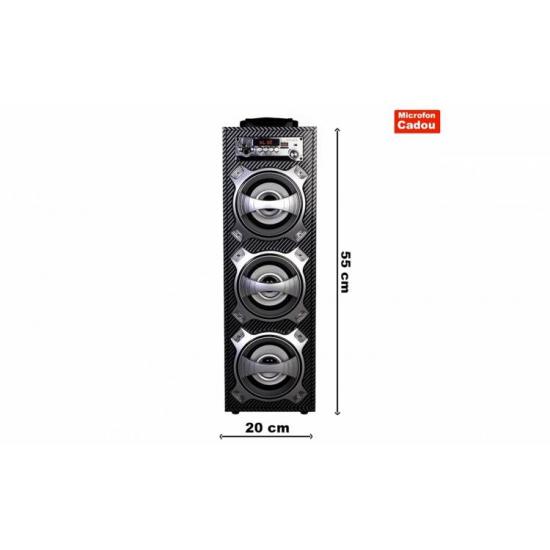 Boxa Bluetooth Portabila 45W, Karaoke, Radio, Card, USB, MP3 Microfon